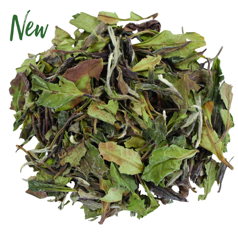 Bai Mu Dan (White Peony)